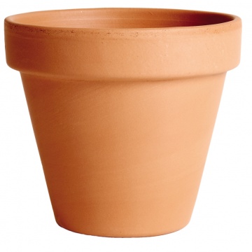 vaso01