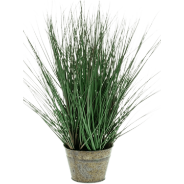 wild-grass-in-zinc-50cm