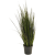 8ngcrig020