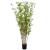 bamboo-oriental-column-190cm_2043980147