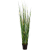 bamboo-wild-grass-120cm_1775794343