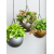 baq_gradient_hanging_bowl_matt_coffee_332_901691448