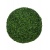 buxus-uv-52-8ppz10035_1103953295