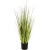 carex-grass-90cm_1009550857