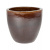 couple-brown_1476706745