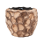 facets-into-coco-couple17x15_8560024