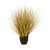 fountain-autumn-grass-65cm_1816783896
