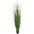 foxtail-wild-grass-175cm