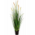 foxtail-wild-grass-95cm