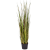 grass-bamboo-120cm_2074246184