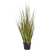 grass-bamboo-90cm_192916469