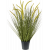 grass-cattail-bush-70cm_2112239742