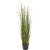 grass-coral-cream-120cm_1881689242