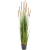 grass-foxtail-brown-150cm