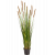 grass-foxtail-brown-90cm