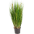 grass-foxtail-green-90cm_166002622