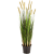 grass-foxtail-yellow-180cm_1625022125