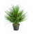 grass-onion_-tuft-50cm_1921842859