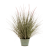 grass-pennisetum-99cm_1405744768