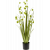 grass-pompom-85m_1317800787