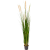 grass-reed-180cm_1288768113