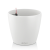 lechuza-classico-color-feher_242976468