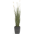 pampas-grass-120cm_1568628041