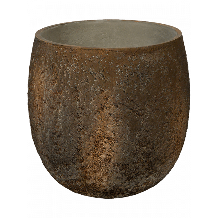 6ppnoys42-oyster-gillard-s-imperial-brown