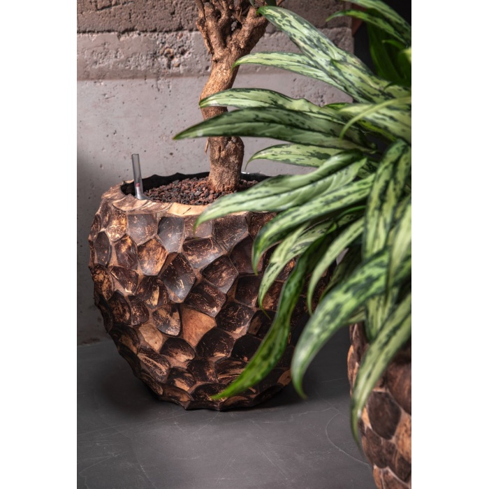 baq-facets-planters-_1619317424