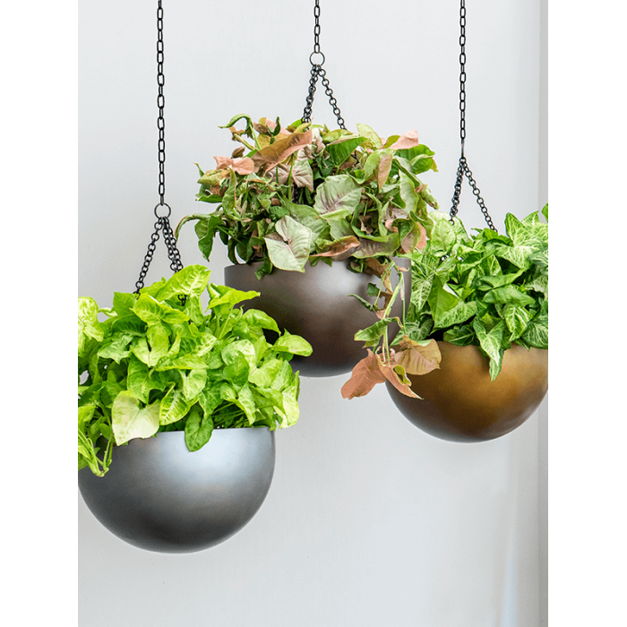 baq_gradient_hanging_bowl_matt_coffee_332_901691448