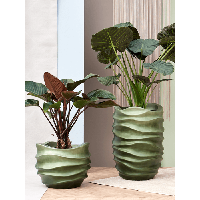 baq_gradient_lee_couple_matt_forest_green_41x372_160959729