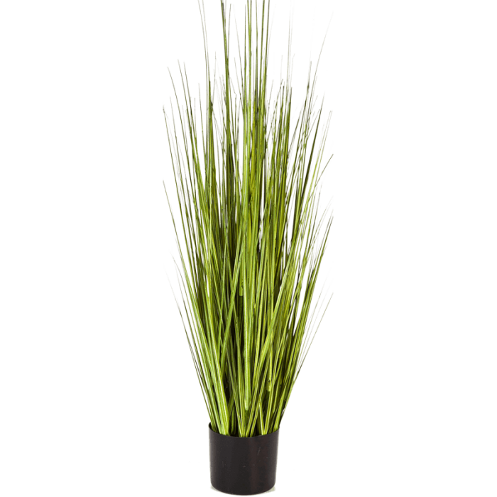 carex-grass-120cm_1356119604