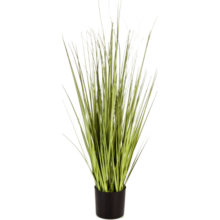 carex-grass-90cm_1009550857