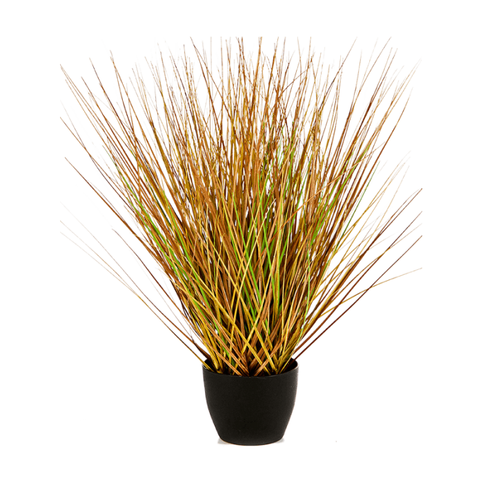 fountain-autumn-grass-50cm_1066938538