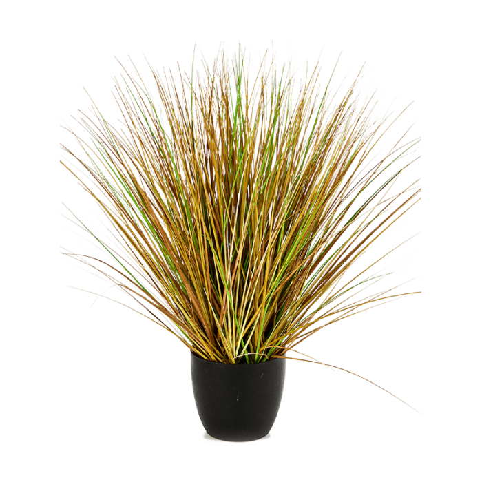 fountain-autumn-grass-75cm_1272097107