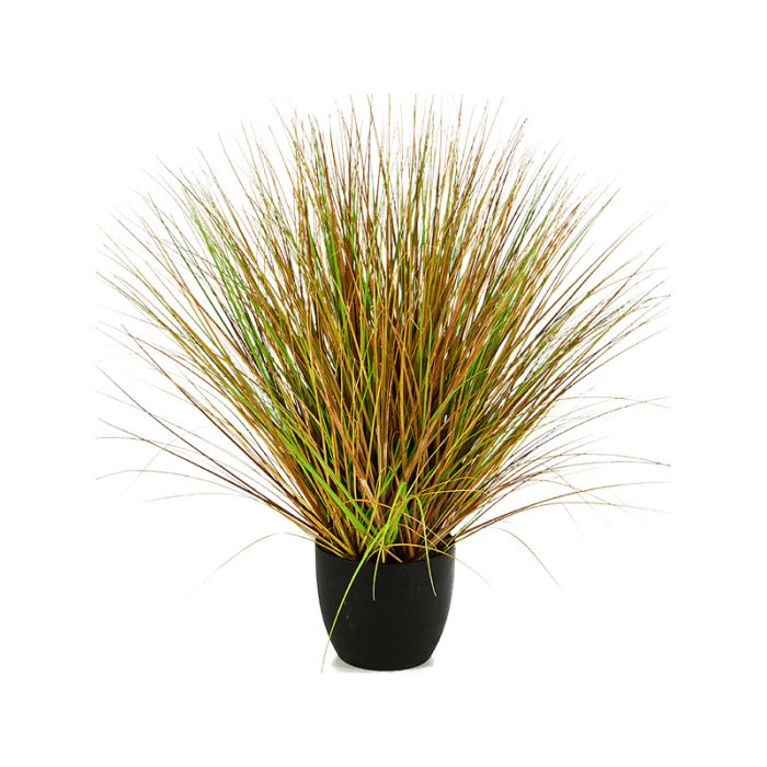 fountain-autumn-grass-85cm_1135277069