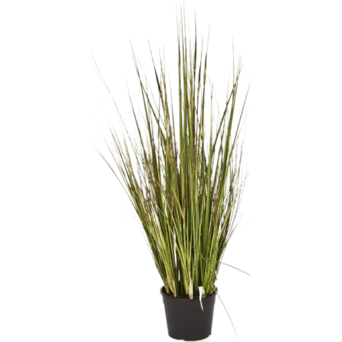 grass-bamboo-90cm_192916469