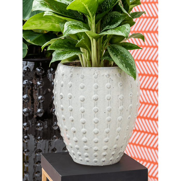 laos_mini_keramia_kaspo_25x28_cm_cream_agleonema_1_330973172