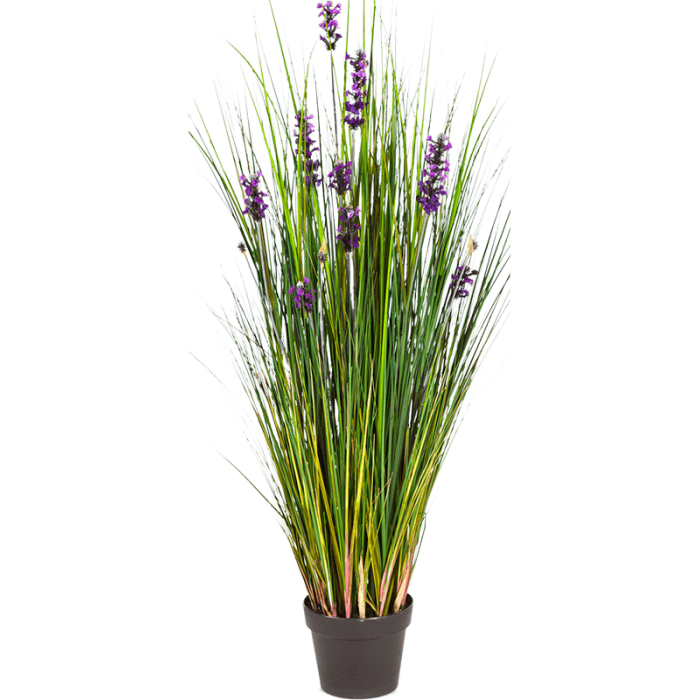 lavender-grass-120cm_1723367923