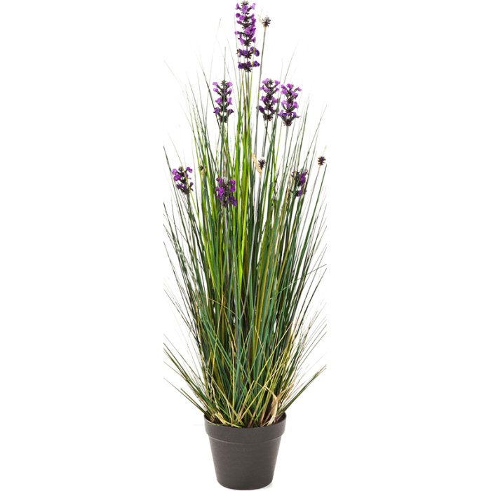 lavender-grass-90cm_2066529131