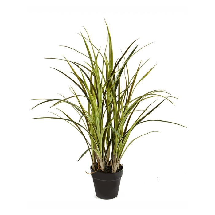 natural-grass-green-75cm