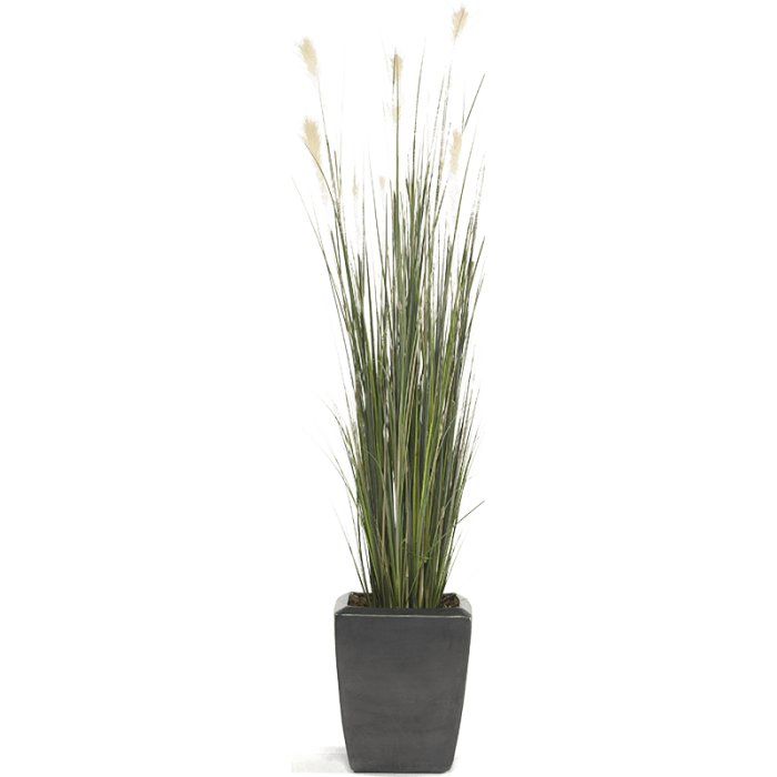 pampas-grass-120cm_1568628041