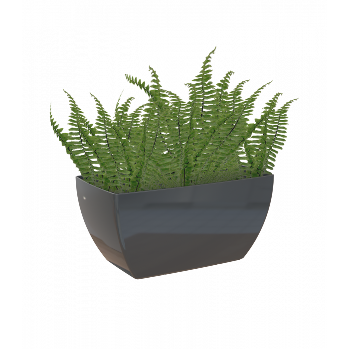 plastic-pot-recyclable-plant-box-glossy-anthracite-plant