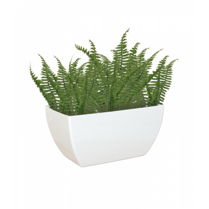 plastic-pot-recyclable-plant-box-glossy-white-plant
