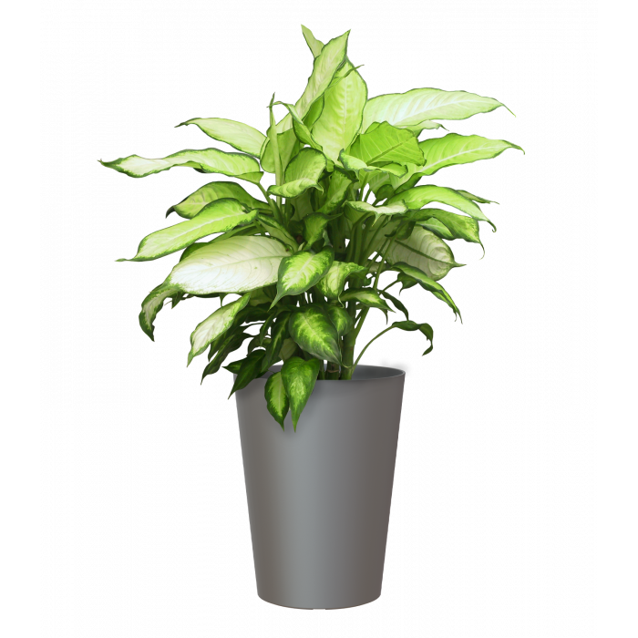 plastic-pot-recyclable-planter-anthracite-plant-2_642720043