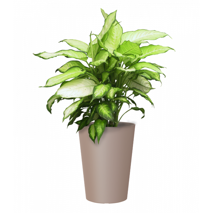 plastic-pot-recyclable-planter-beige-plant-1