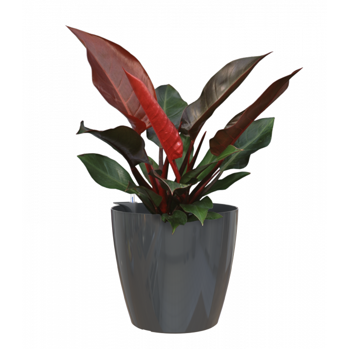 plastic-pot-recyclable-planter-glossy-indoor-anthracite-plant-1_1205918841