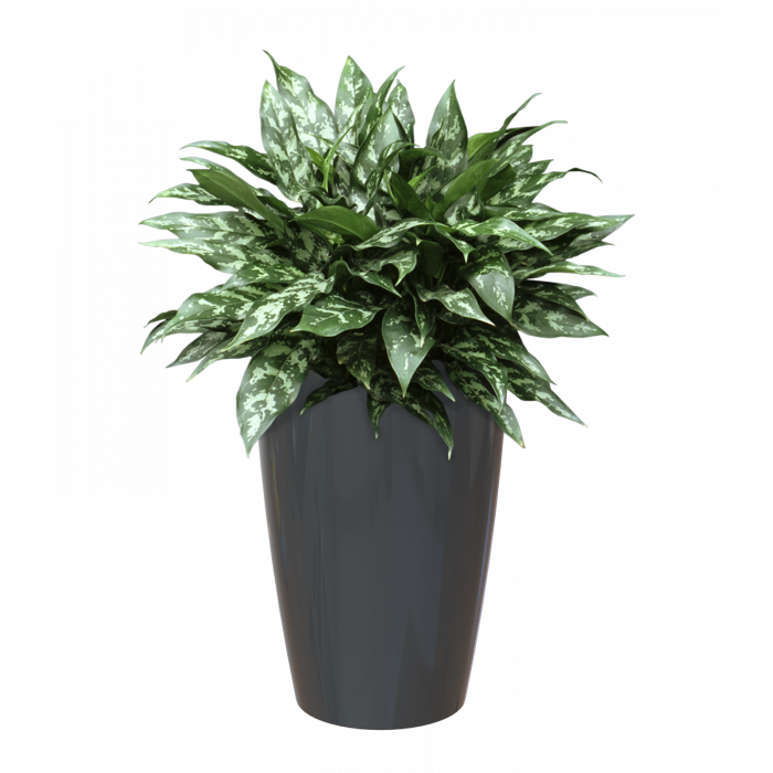 plastic-pot-recyclable-planter-tall-anthracite-plant-1_1367716743