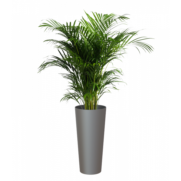 plastic-pot-recyclable-planter-tall-anthracite-plant