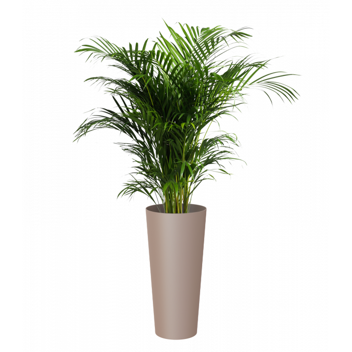 plastic-pot-recyclable-planter-tall-beige-plant